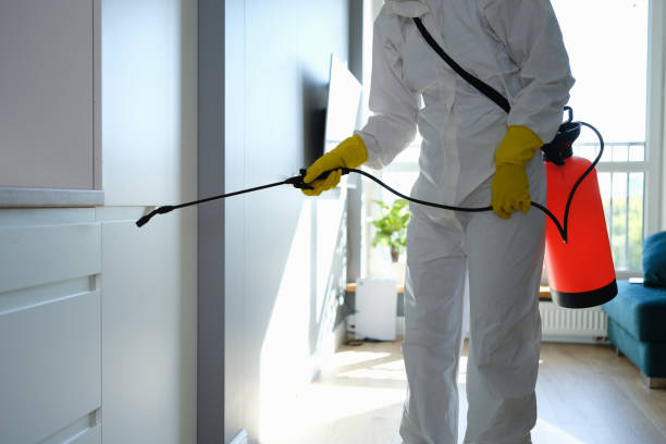 Trusted Eaton Rapids, MI Mold Removal Experts