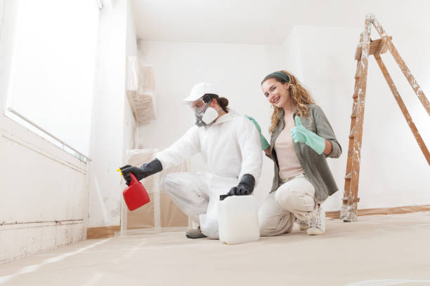 Best Emergency Mold Remediation  in Eaton Rapids, MI